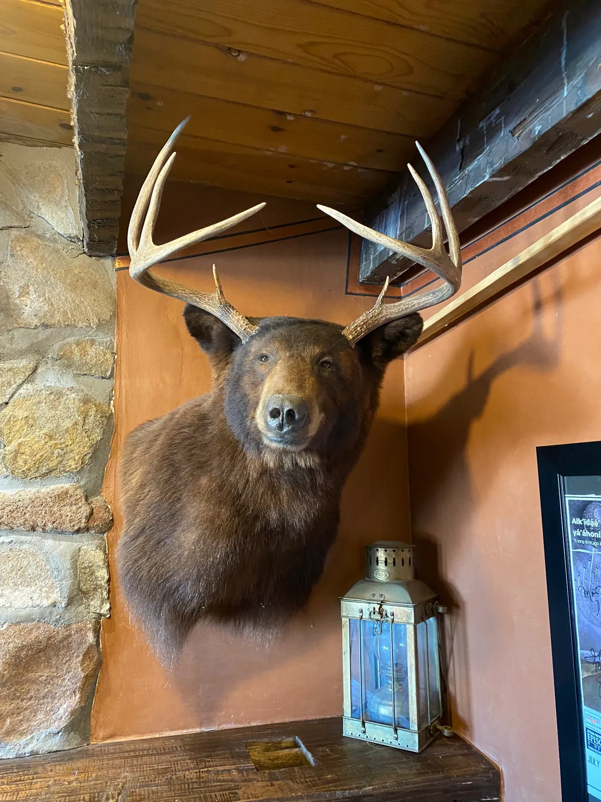 Bear and deer mounts inside Beer Creek Brewing Company near Santa Fe