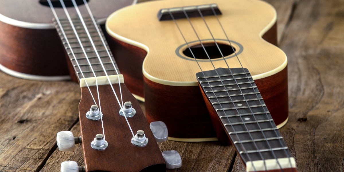 Musician Ukes 101